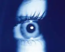 Iridologia – Fundamentos Essenciais