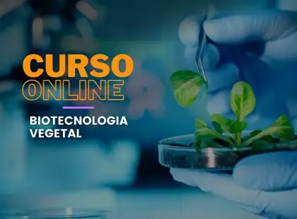 Biotecnologia Vegetal – Cultura de Tecidos  in vitro