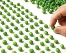 TOC – TRANSTORNO OBSESSIVO COMPULSIVO