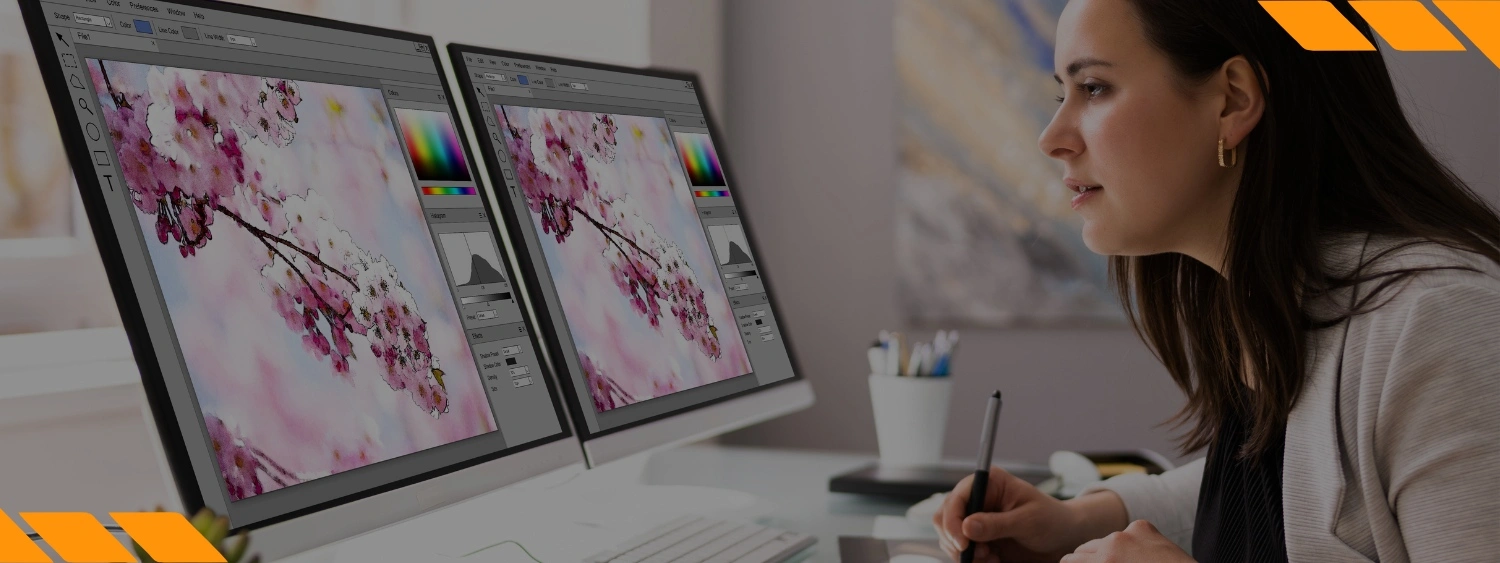 Web Design para Iniciantes