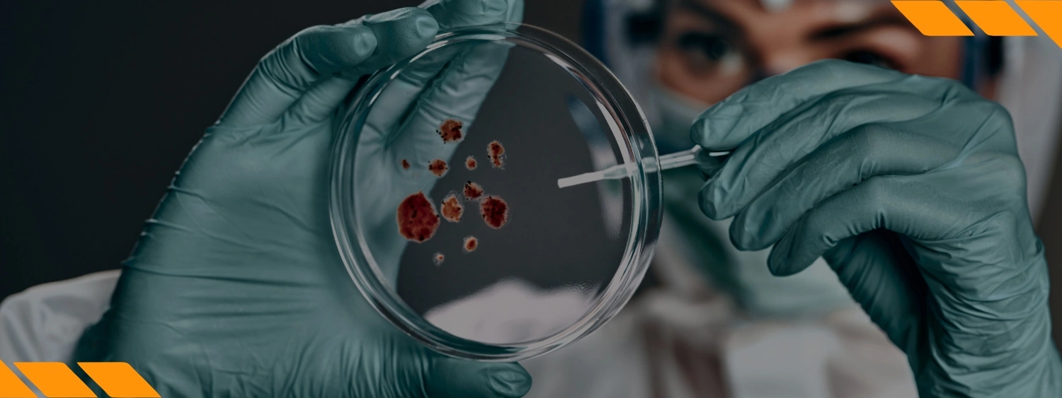 Biossegurança – Fundamentos Essenciais