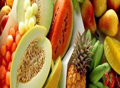 Nutrição na Doença Renal – Fundamentos Essenciais