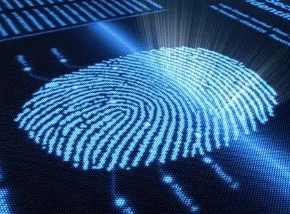 Papiloscopia – Fundamentos Essenciais